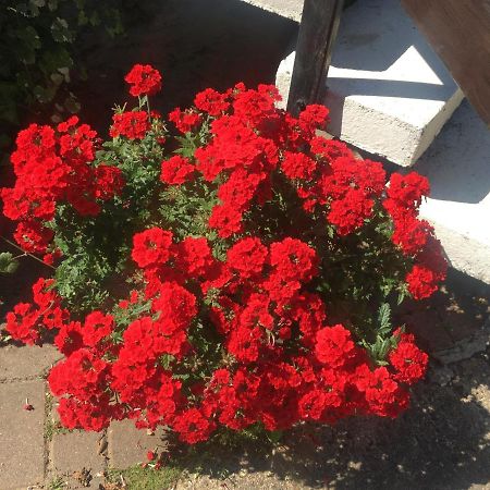 Ferienwohnung Rosi Stoppa Burg  Dış mekan fotoğraf