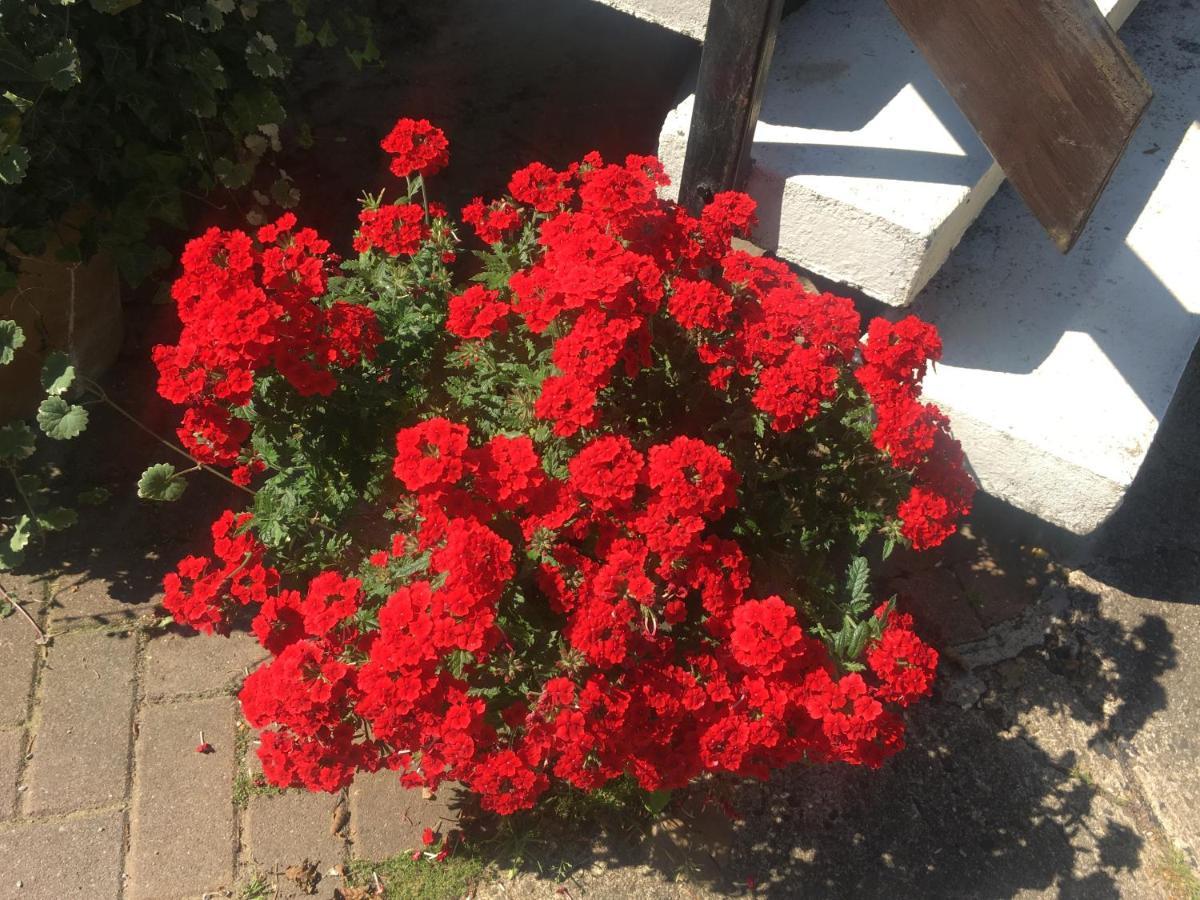 Ferienwohnung Rosi Stoppa Burg  Dış mekan fotoğraf